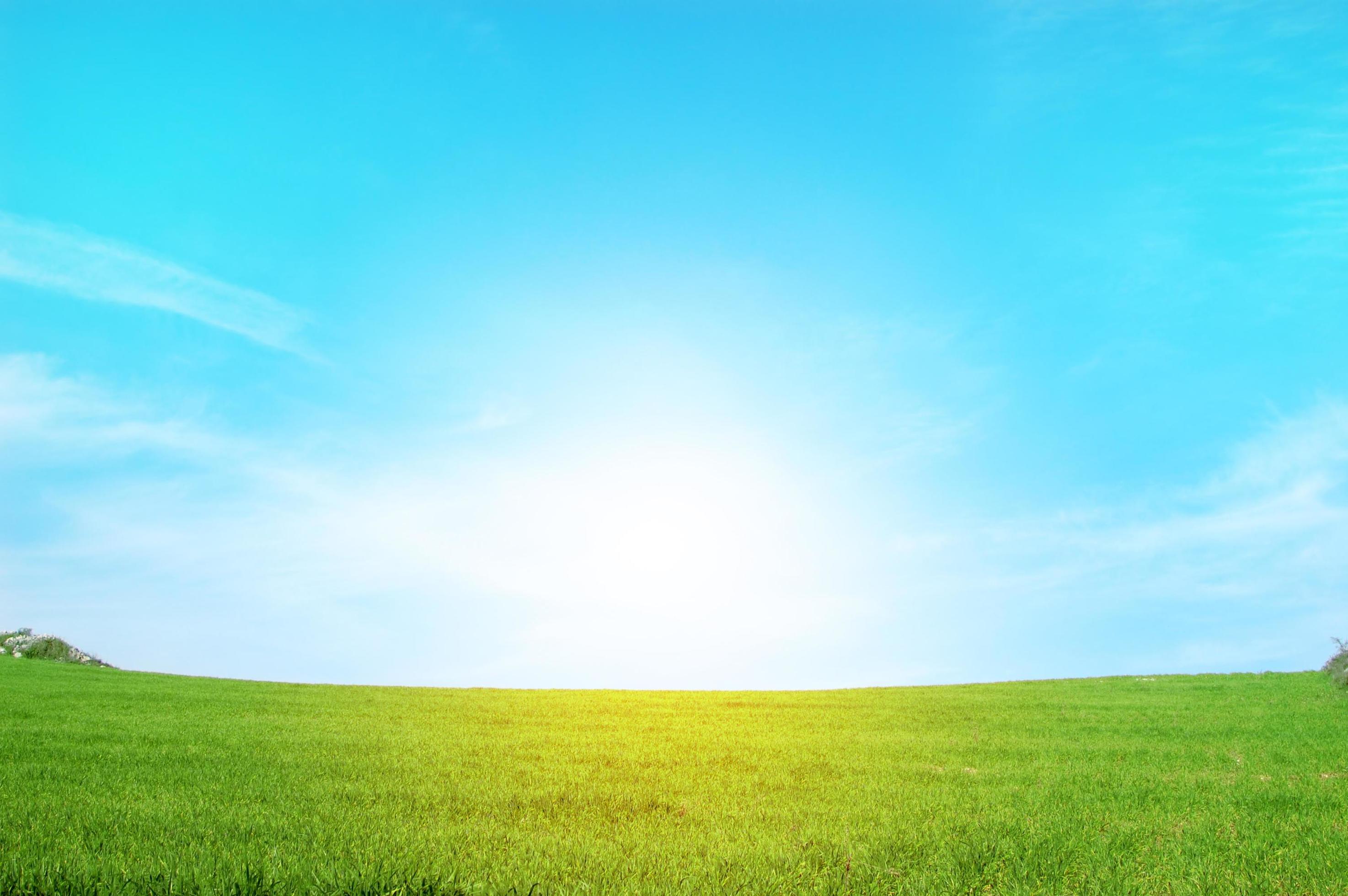 green grass and sky wallpaper