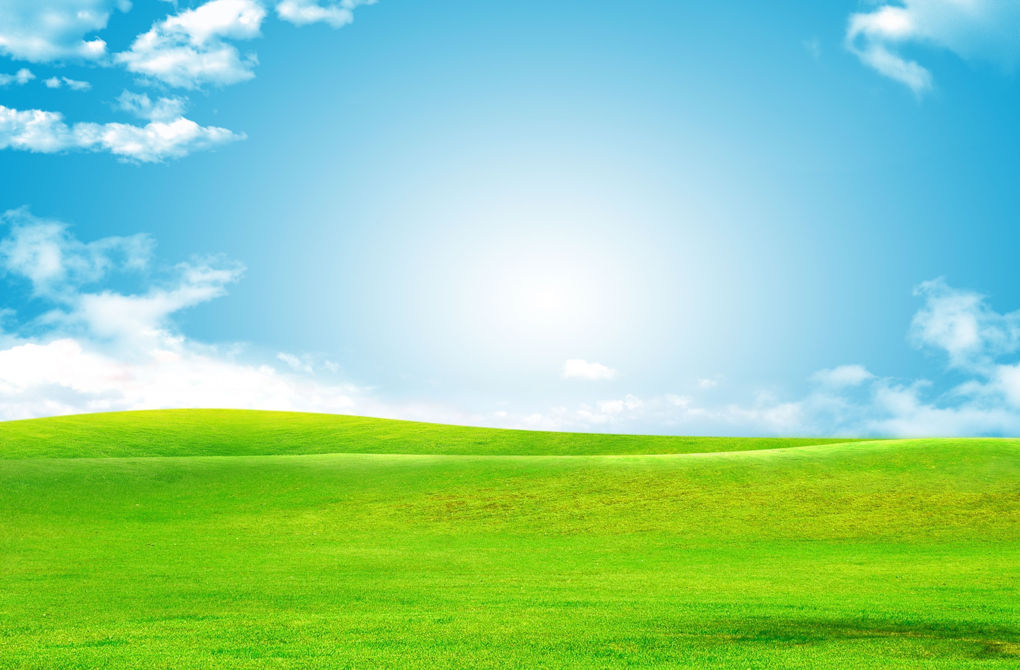 Sky Green Grass Background, Baiyun, Green, Grass Background Image And Wallpaper for Free Download. Grass background, Green grass background, Photohop background