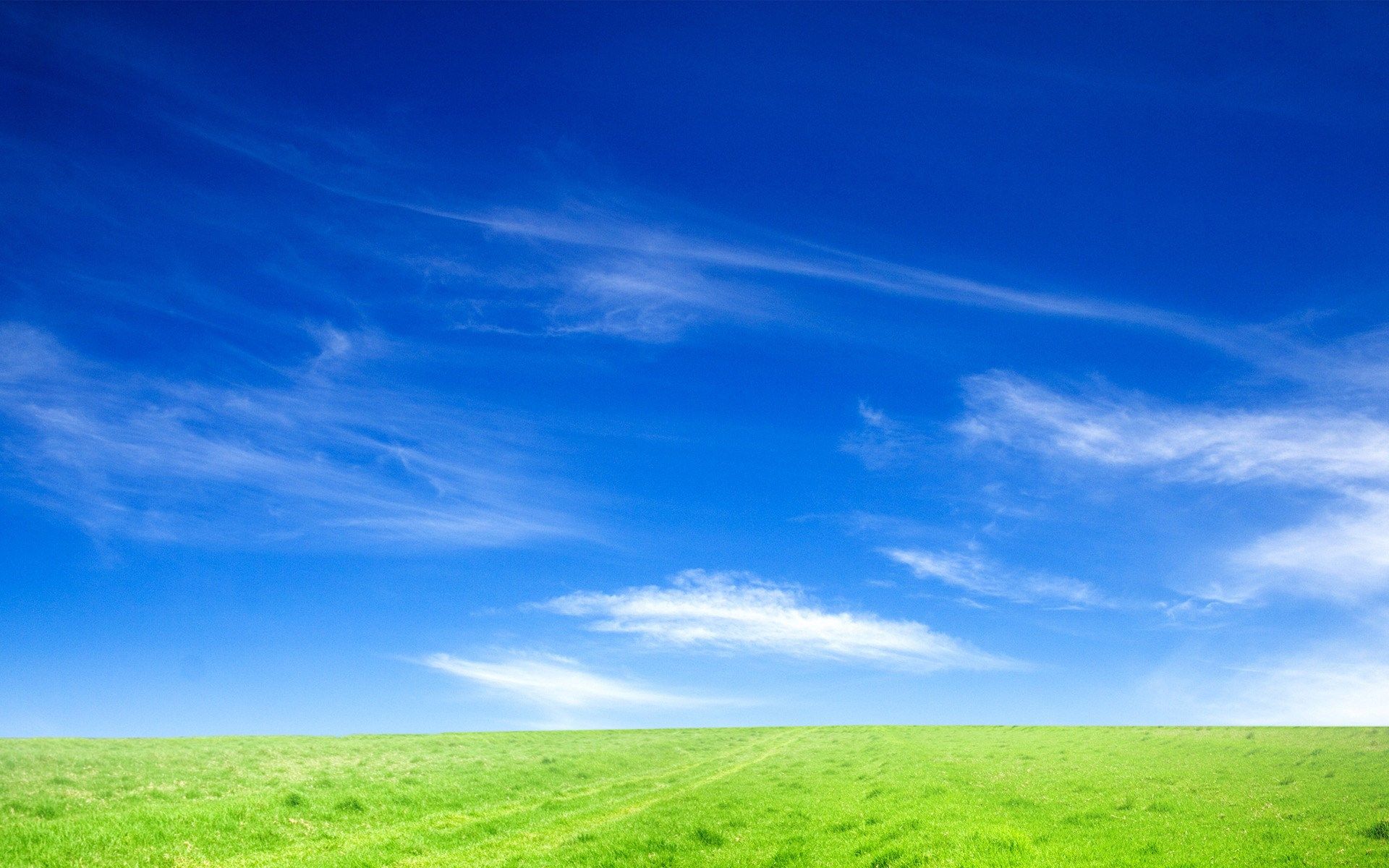 Blue Sky And Green Grass Wallpaper [1920x1200]