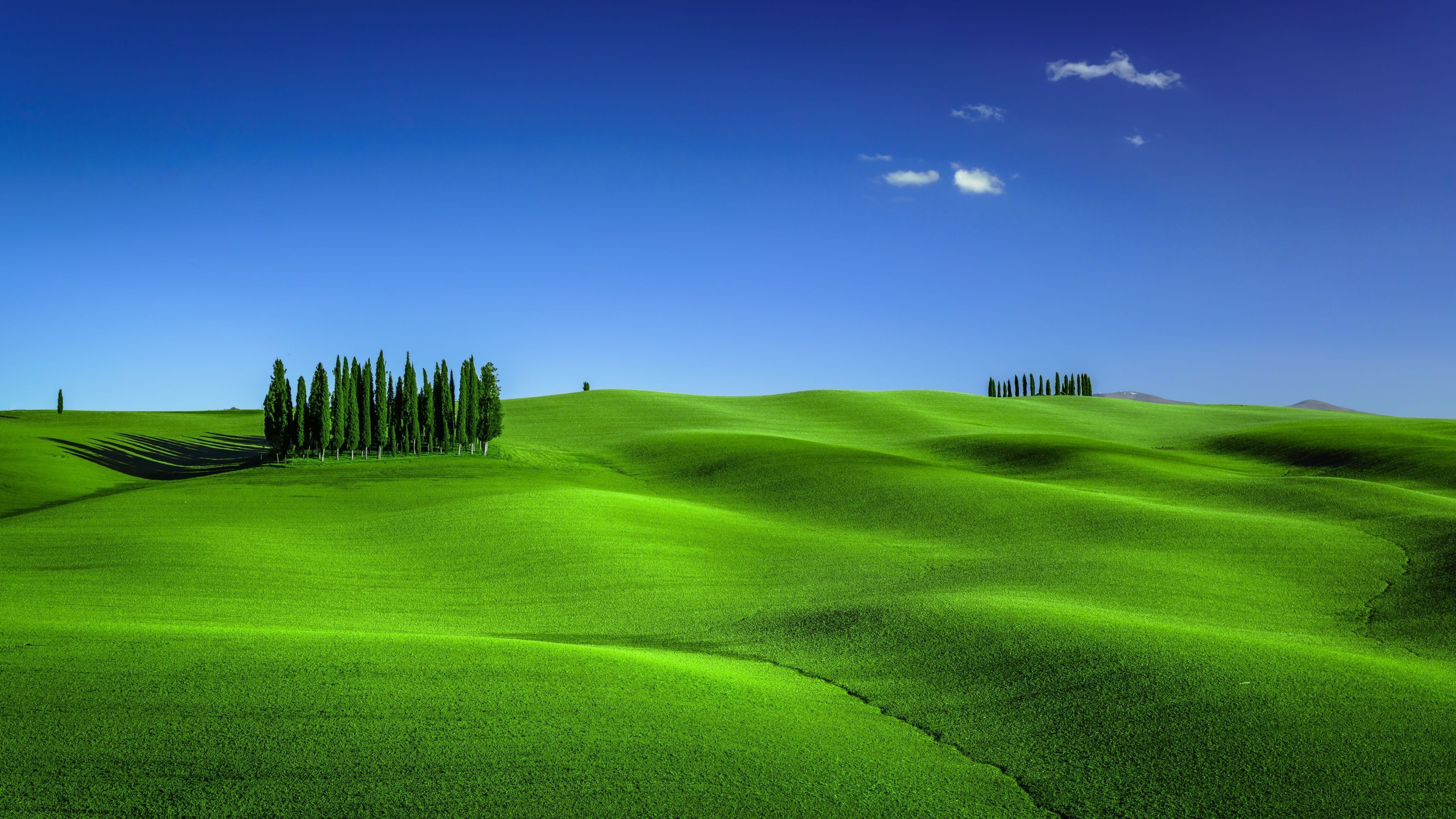 Grass and Sky Wallpaper (image inside)