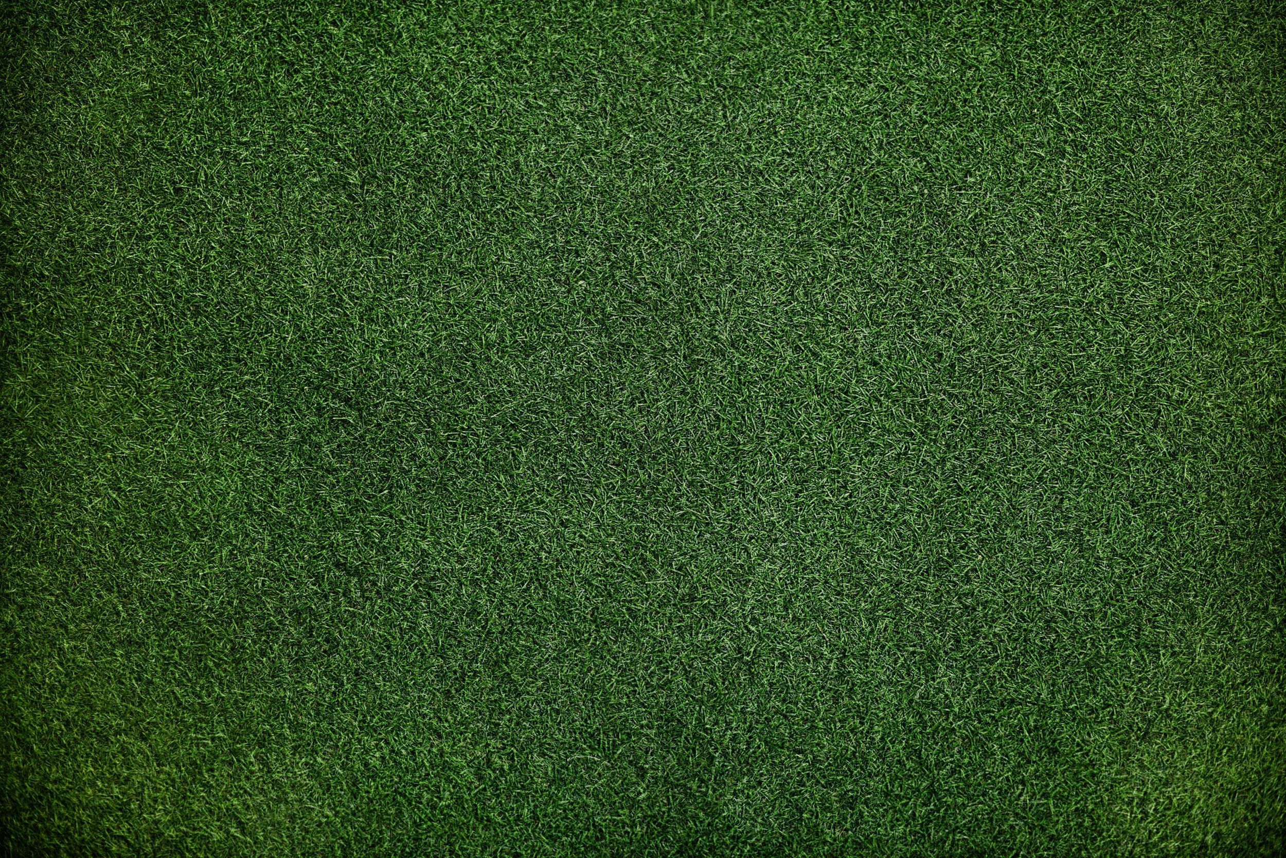 Grass Background, HD Abstract, 4k Wallpaper, Image, Background, Photo and Picture