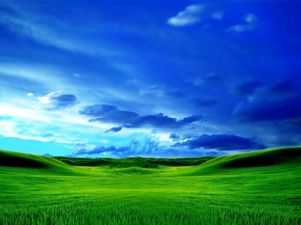 Free download Green Meadow Landscape photo of Beautiful Green Grass Wallpaper [1024x768] for your Desktop, Mobile & Tablet. Explore Green Green Meadow Wallpaper. Green Background, Green Wallpaper, Background Green