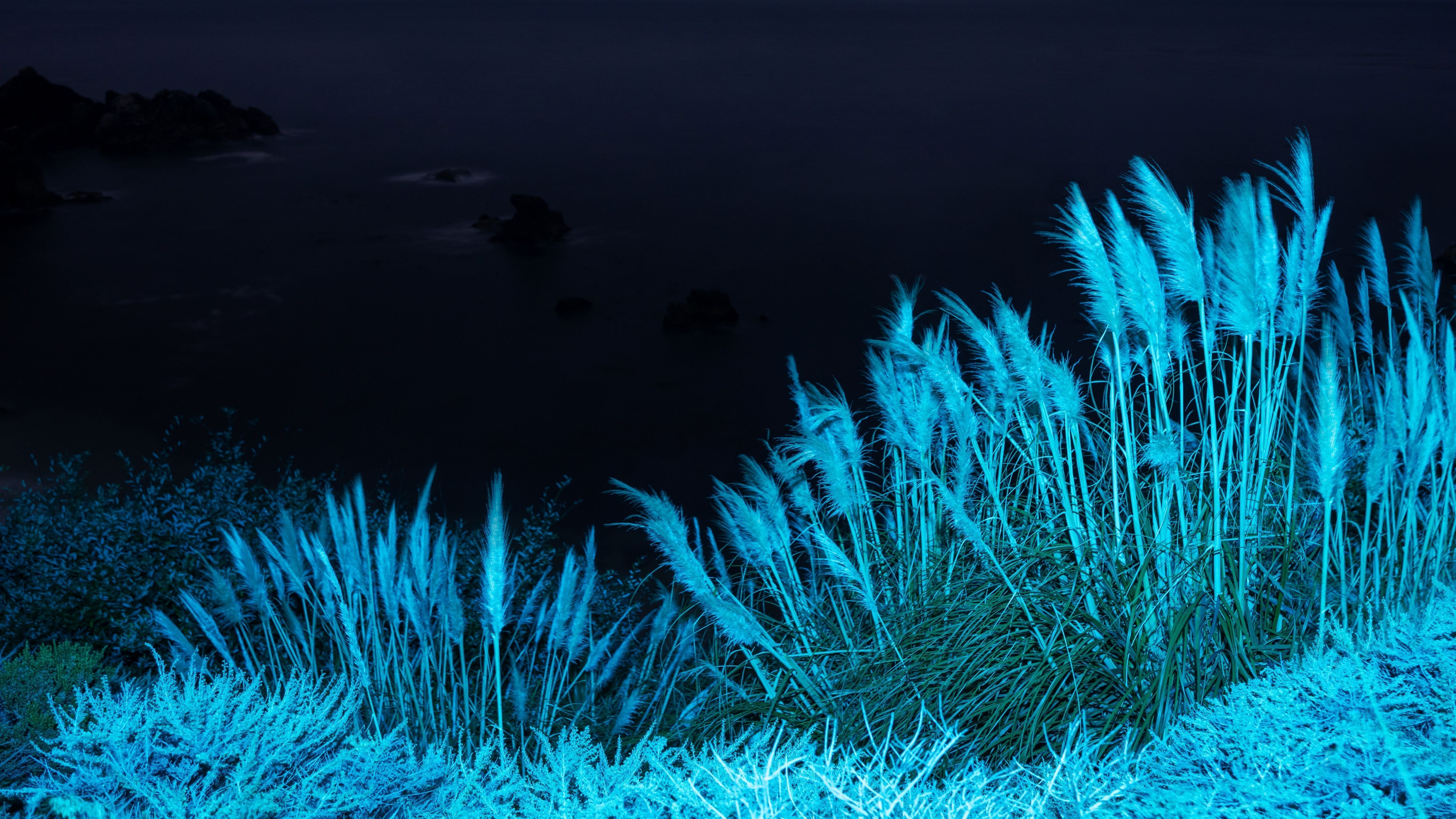 macOS Big Sur Wallpaper 4K, Infrared, Night, Grass, Stock, 5K