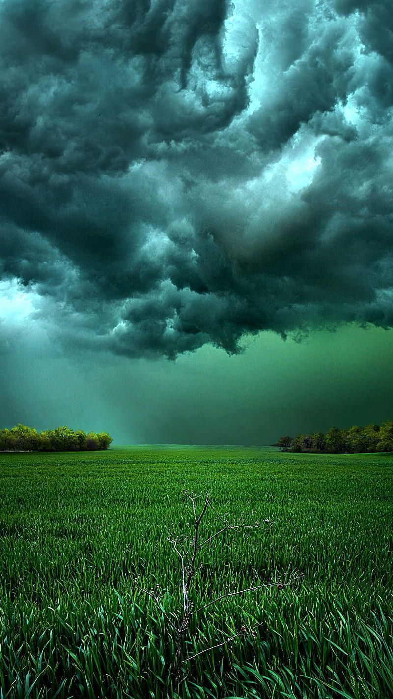 Cloudy sky, clouds, field, grass, green, HD phone wallpaper