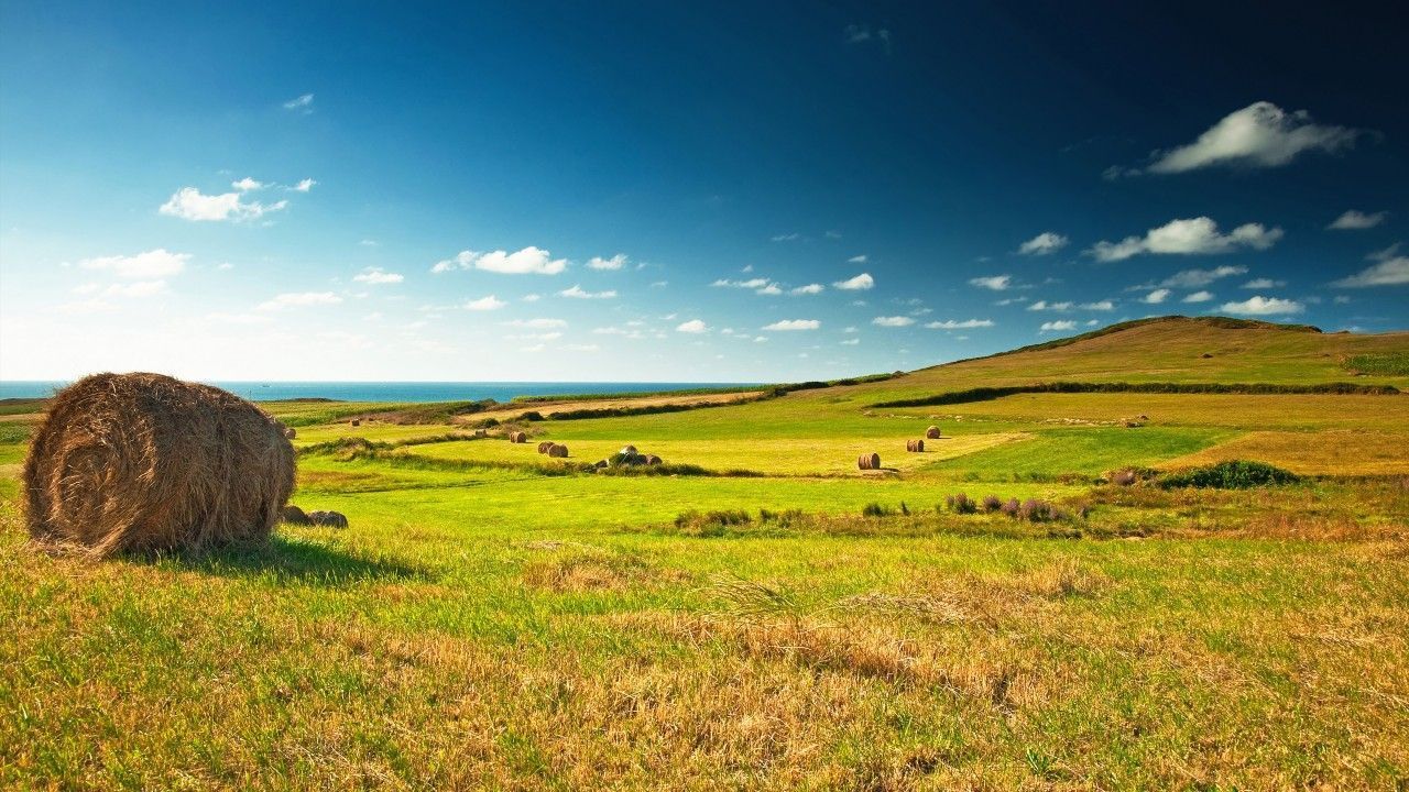 Wallpaper Meadows, 5k, 4k wallpaper, hay, sky, clouds, grass, Nature