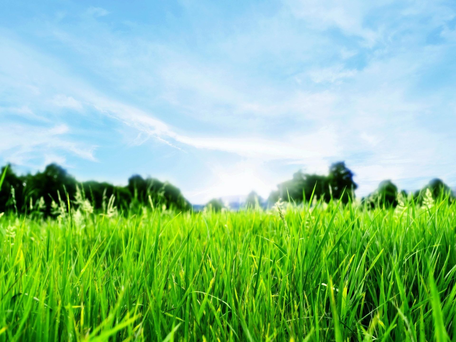 Green Landscape, Green Grass Close Up Blue Sky And White Clouds Ultra HD Wallpaper 3840x2160 : Wallpaper13.com