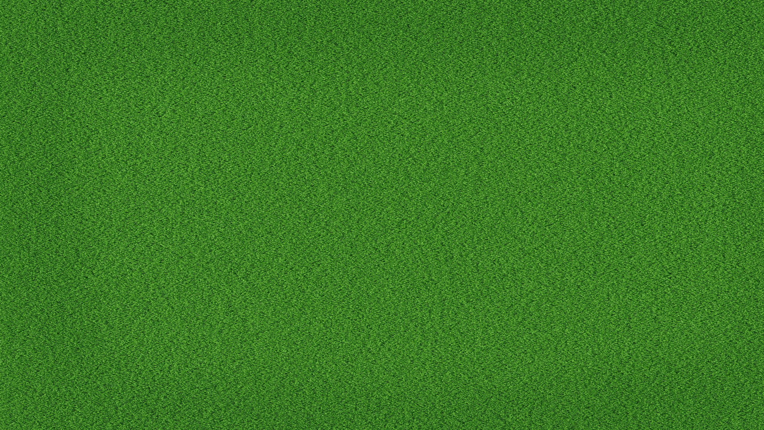 Green grass background wallpaper