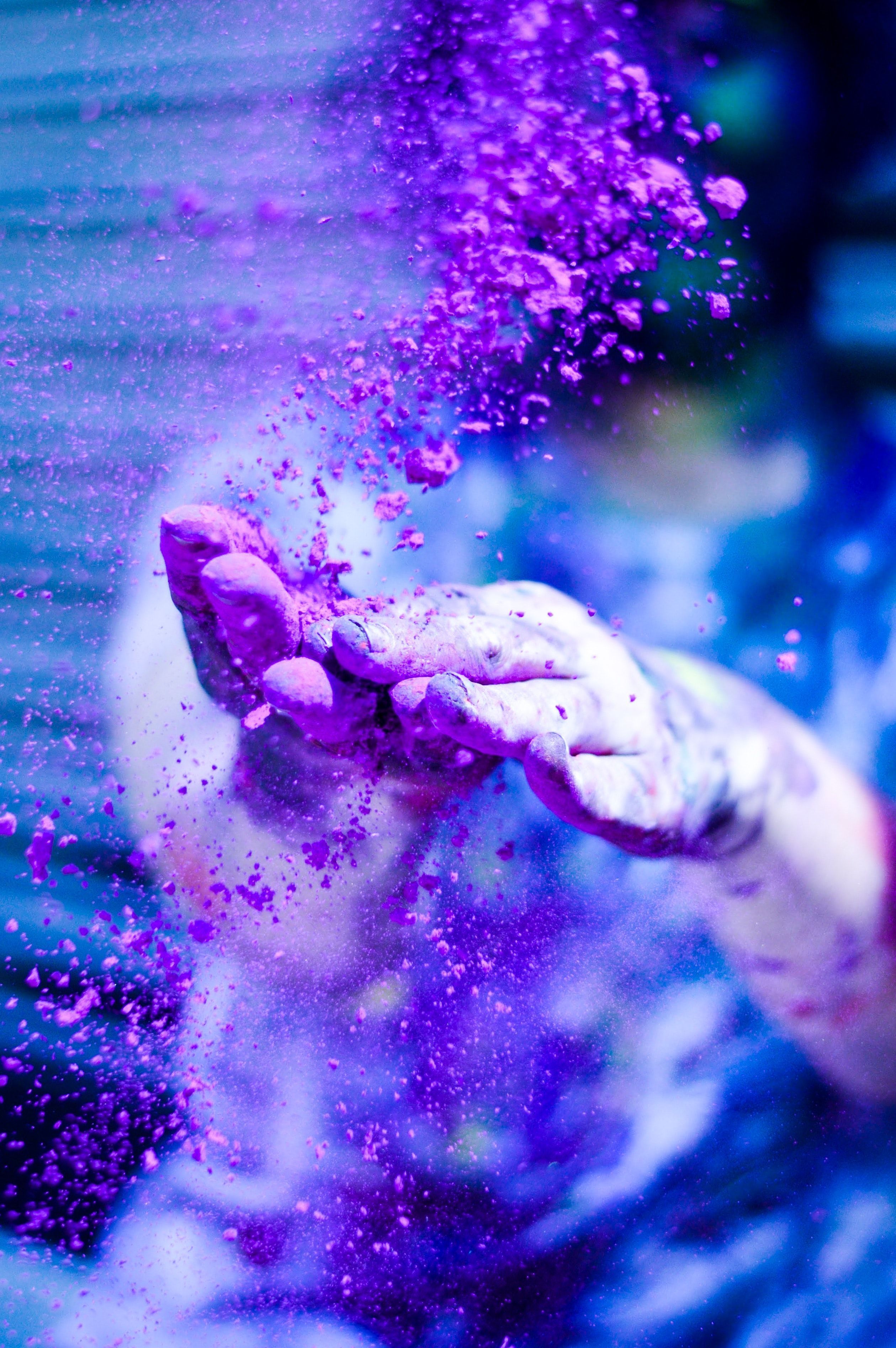 Holi Festival Photo, Download The BEST Free Holi Festival & HD Image