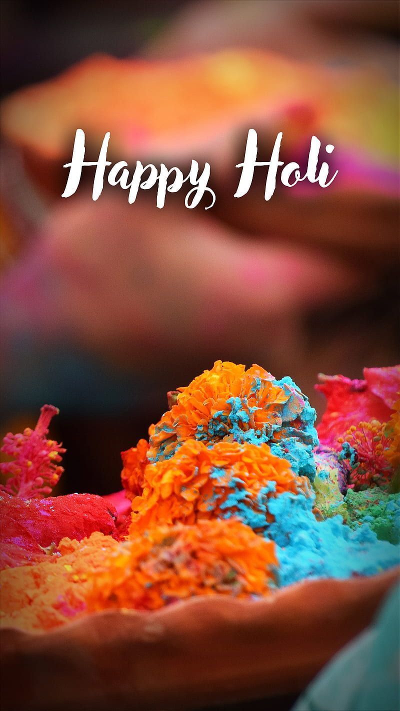 Holi colour, colourful, amazing, HD phone wallpaper