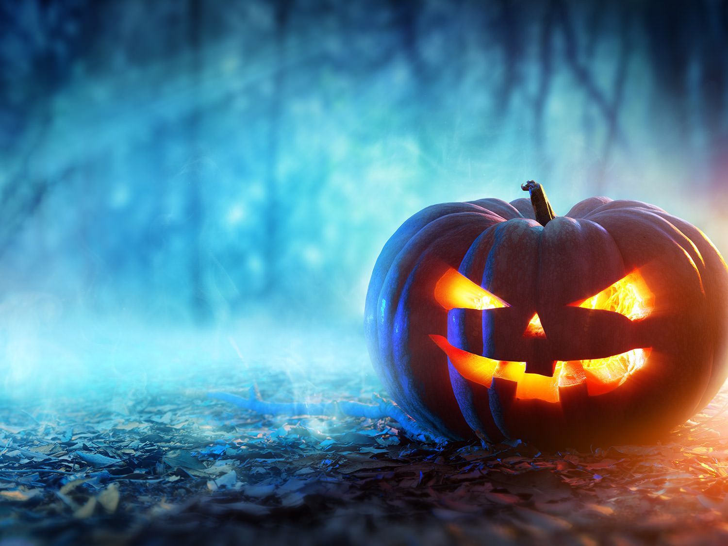 Be Bewitched Halloween Wallpaper For 2020 (4K)