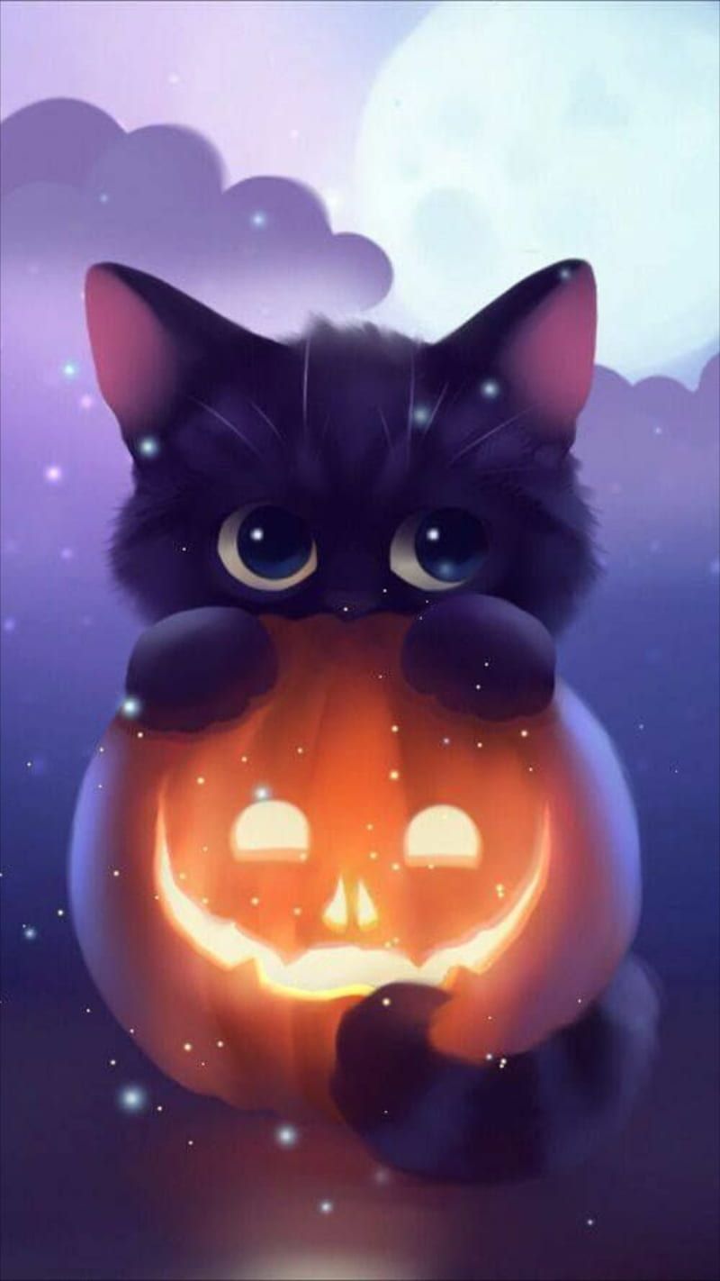 Cat, favorites, girl, halloween, halloween, halloween favorites, air, last, panther, HD phone wallpaper