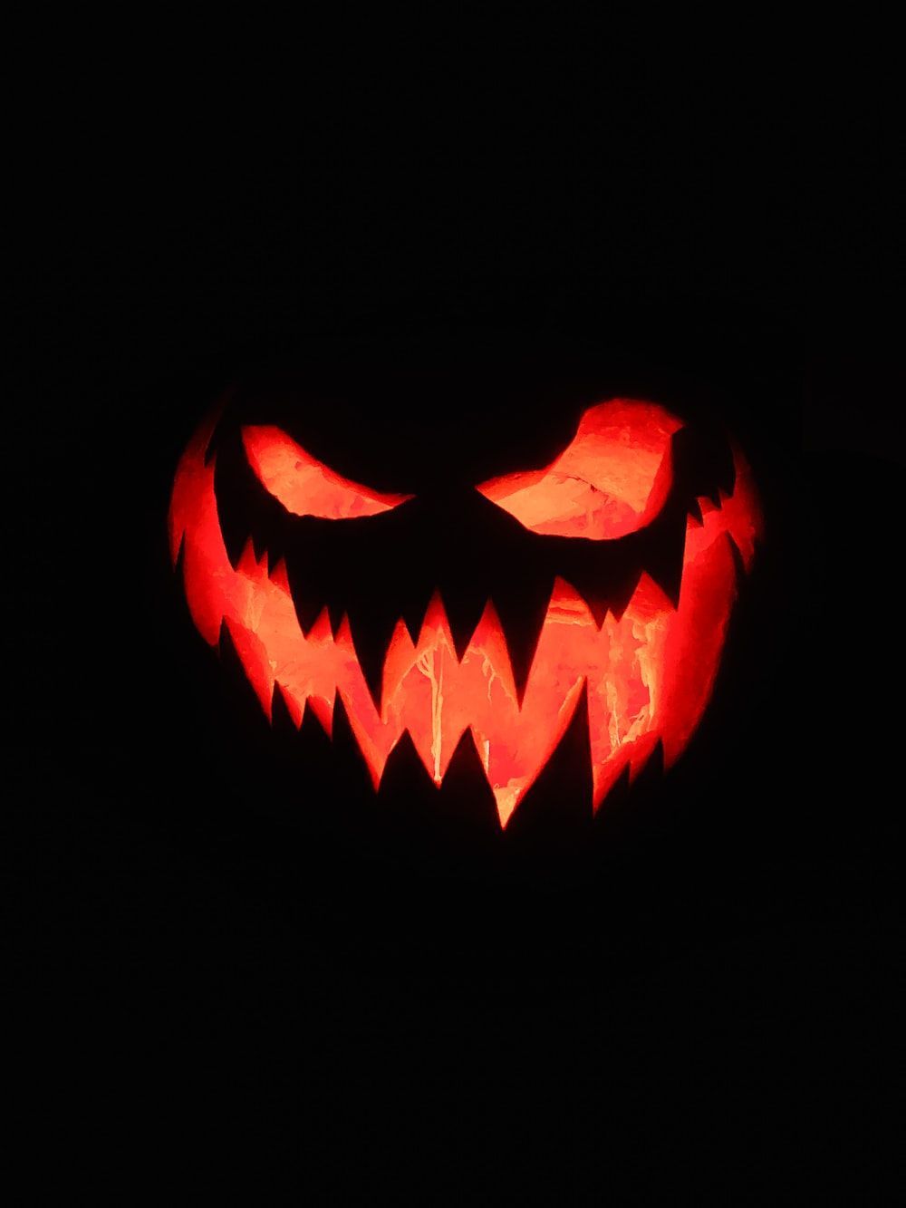 Halloween Pumpkin Picture. Download Free Image