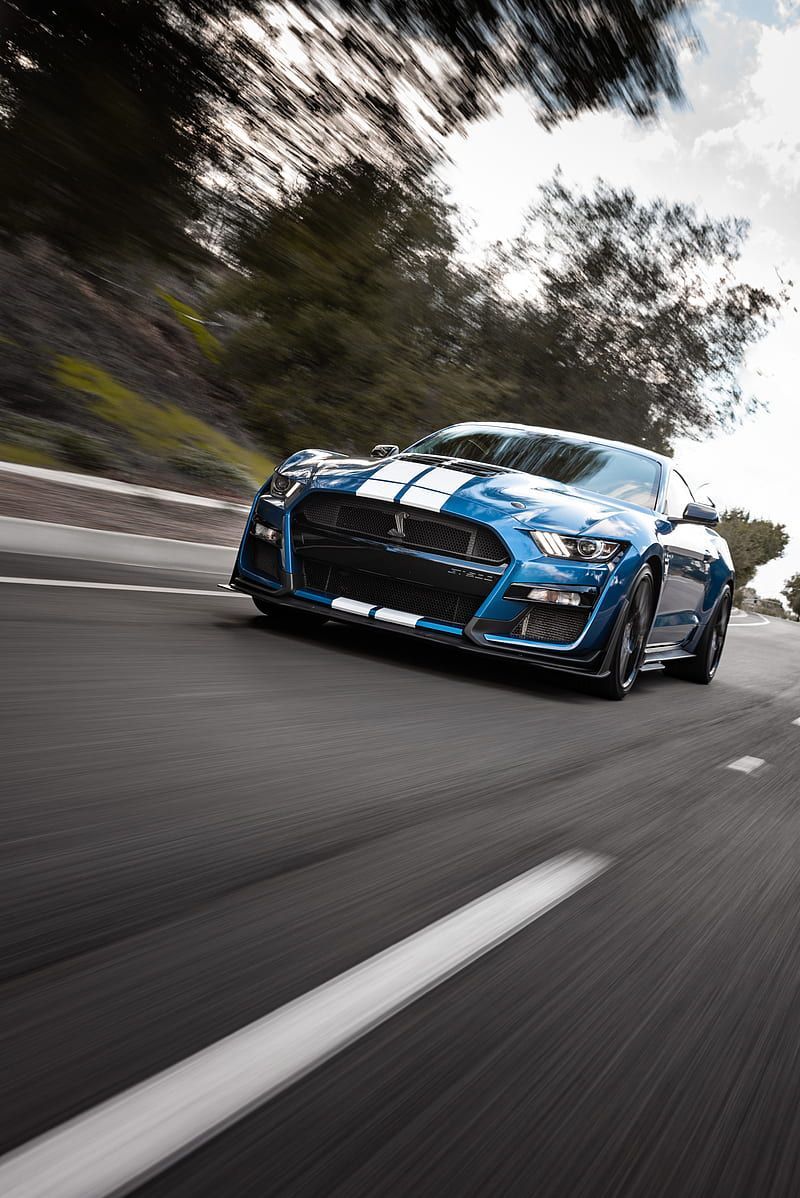 Shelby gt shelby, car, sports car, blue, road, speed, HD phone wallpaper