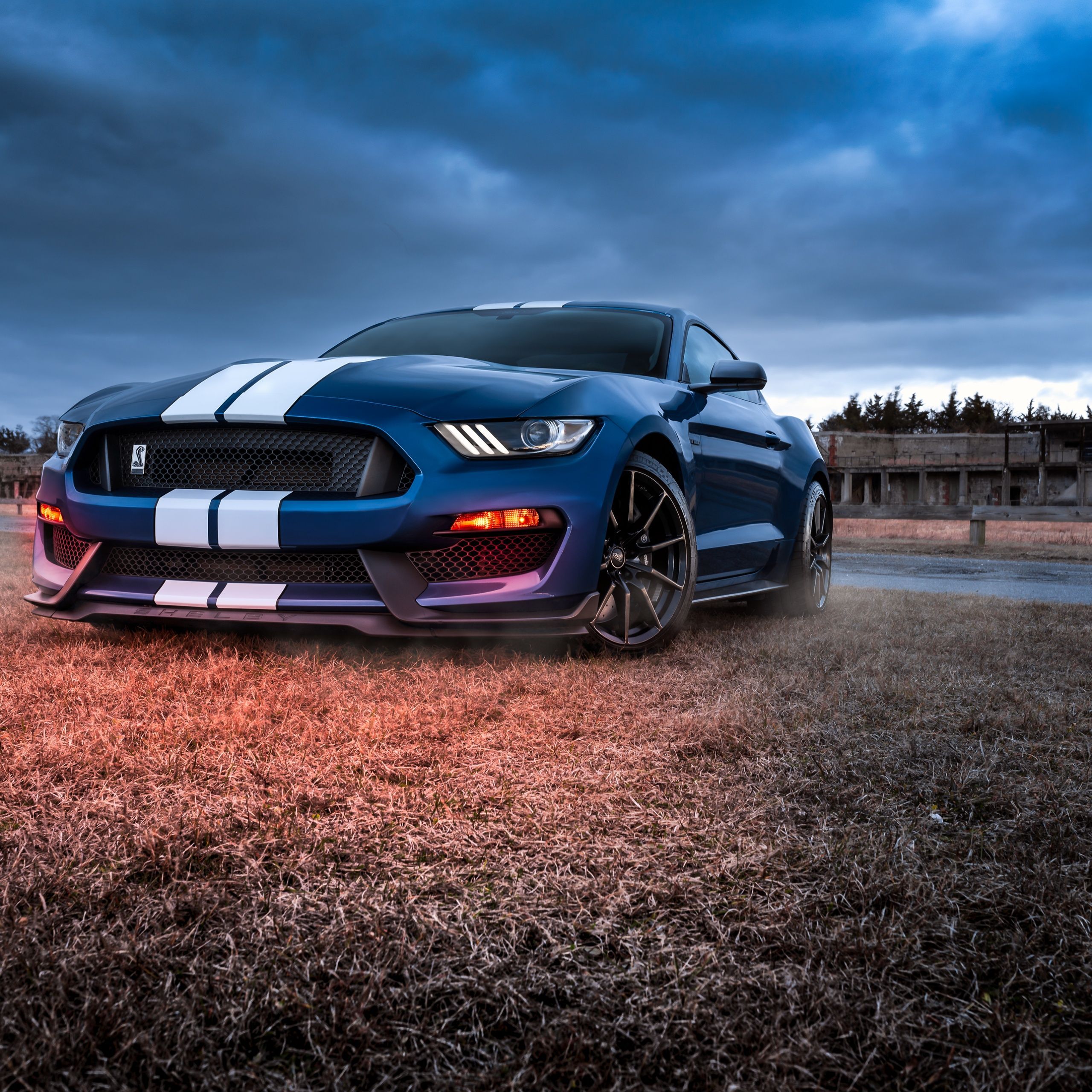 Ford Mustang Shelby GT500 Wallpaper 4K, Muscle cars