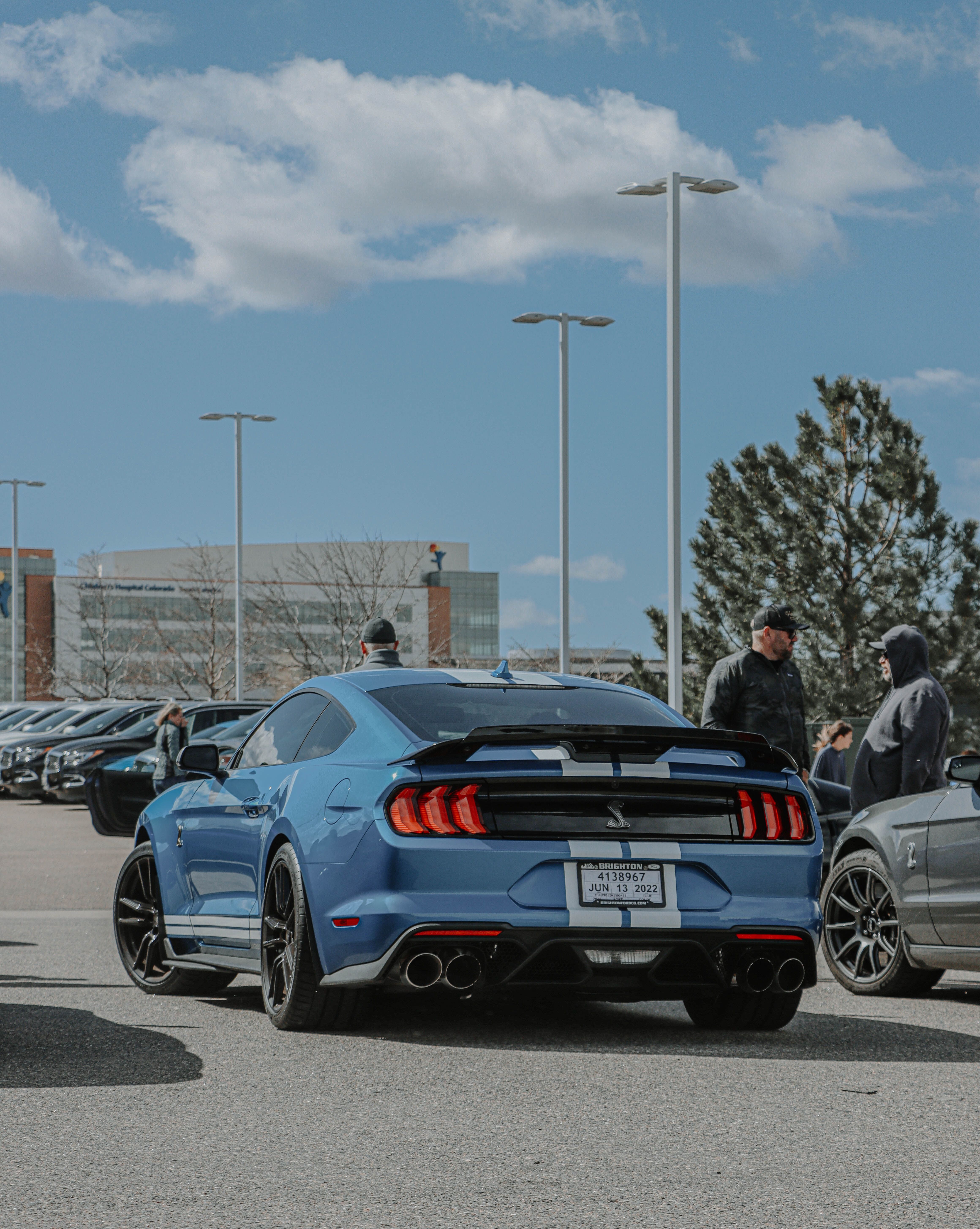 Mustang Shelby Gt500 Photo, Download The BEST Free Mustang Shelby Gt500 & HD Image