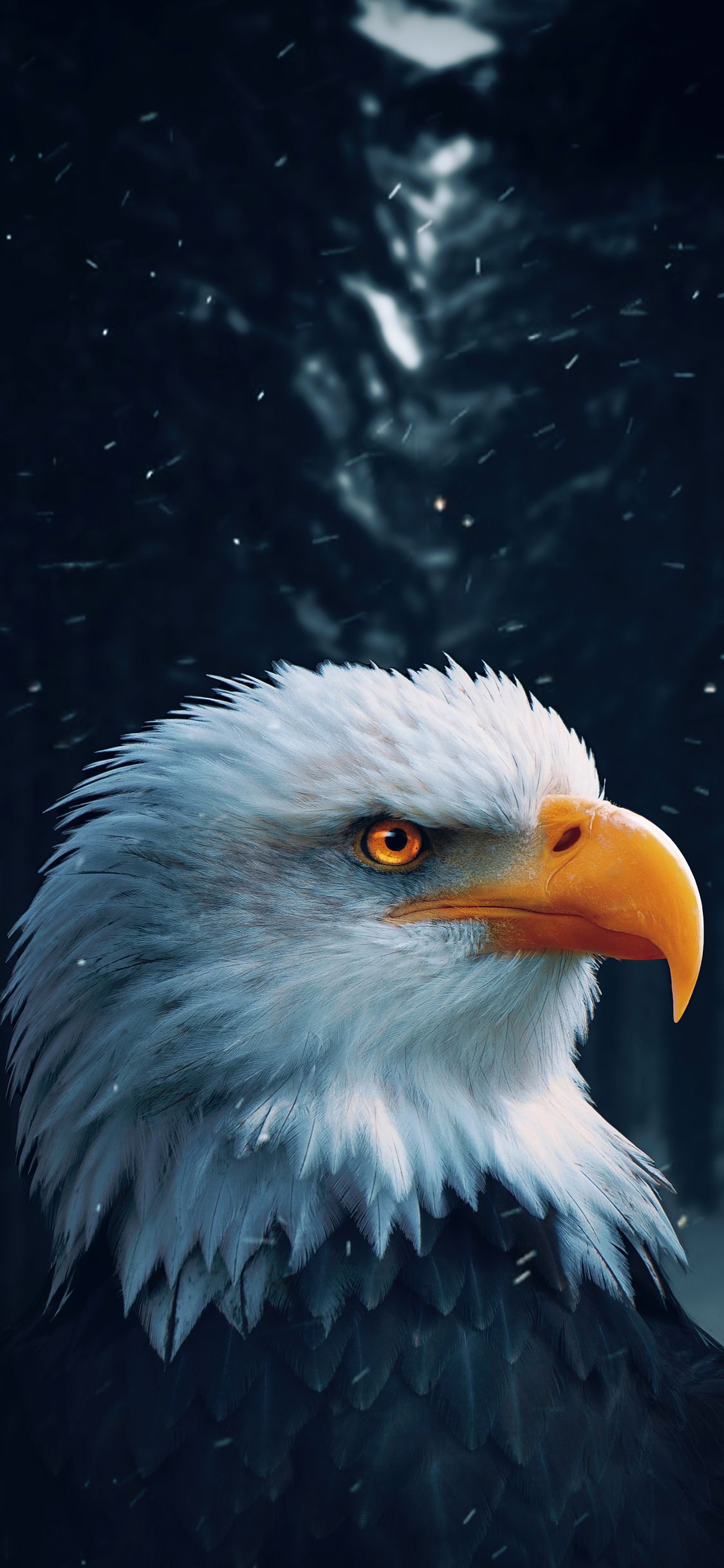 Bald Eagle Closeup 4k iPhone XS, iPhone iPhone X HD 4k Wallpaper, Image, Background, Photo and Picture