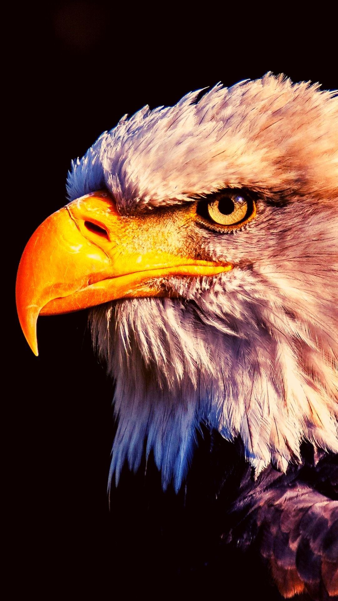 Eagle iPhone 4k Wallpaper