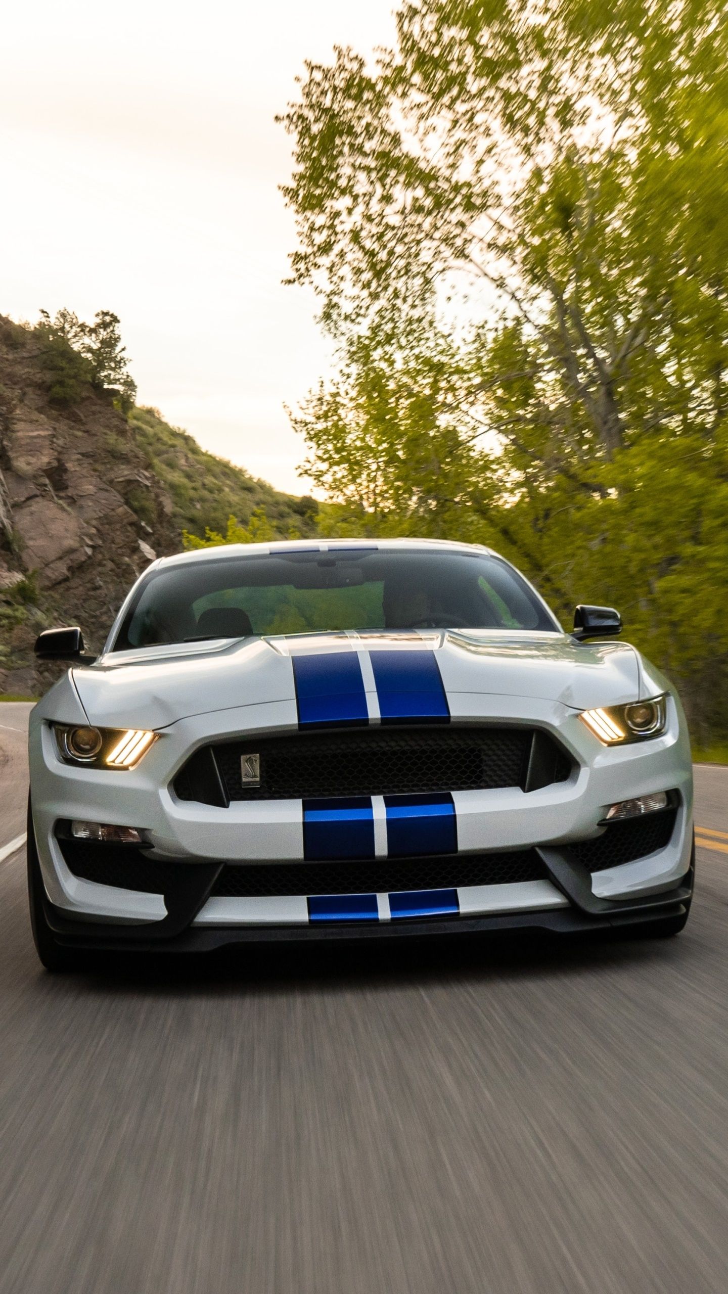 Wallpaper / Vehicles Ford Mustang Shelby GT500 Phone Wallpaper, Muscle Car, Car, Ford Mustang, Ford, Vehicle, 1440x2560 free download