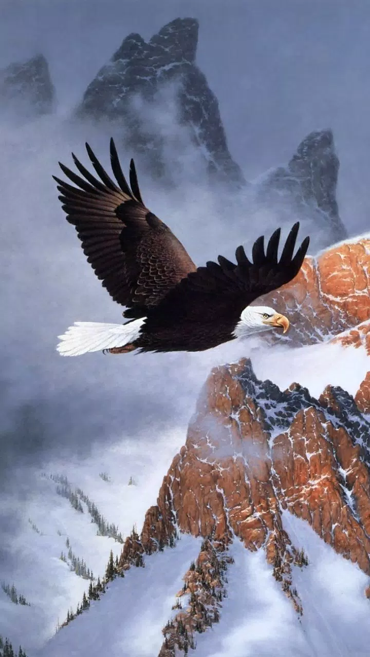 Eagle Wallpaper APK for Android Download