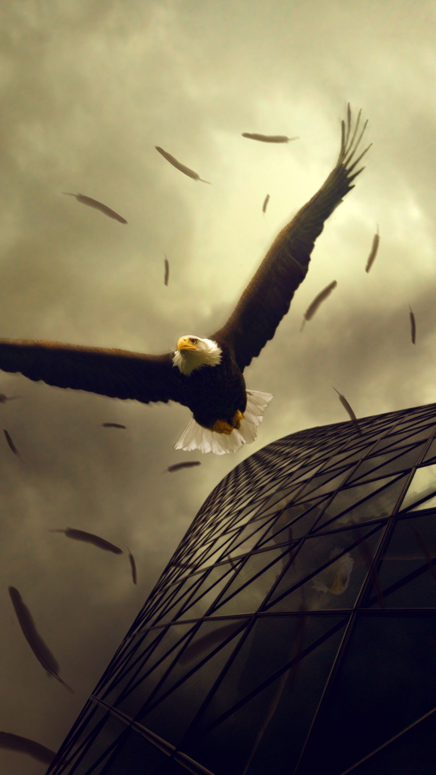 Wallpaper Eagle, 4k, HD wallpaper, sky, clouds, building, fly, wings, plumage, art, OS