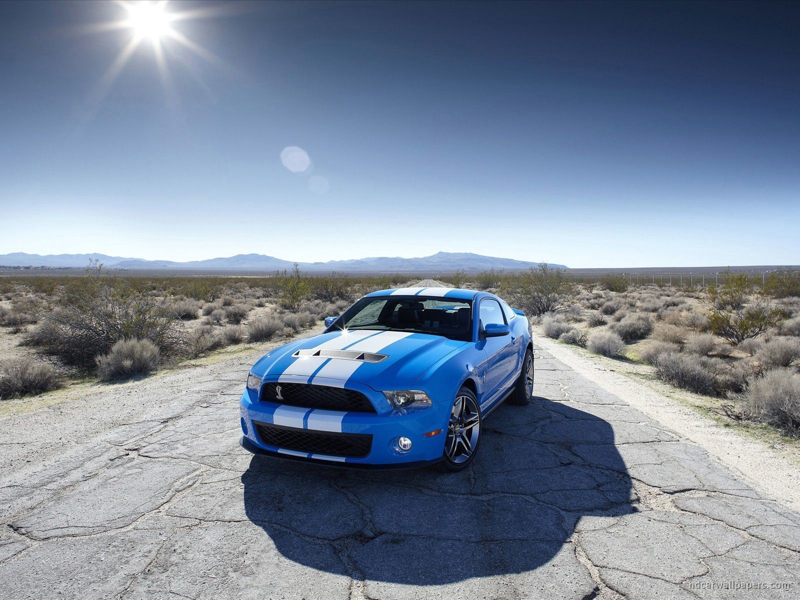 Shelby GT500 Super Snake Wallpaper