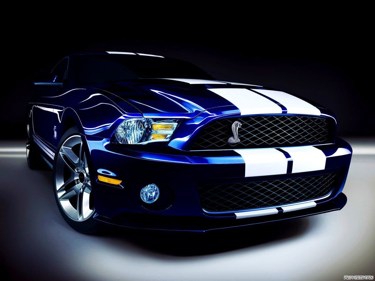 Cars, Ford, Shelby Mustang wallpaper HD. Best Free picture