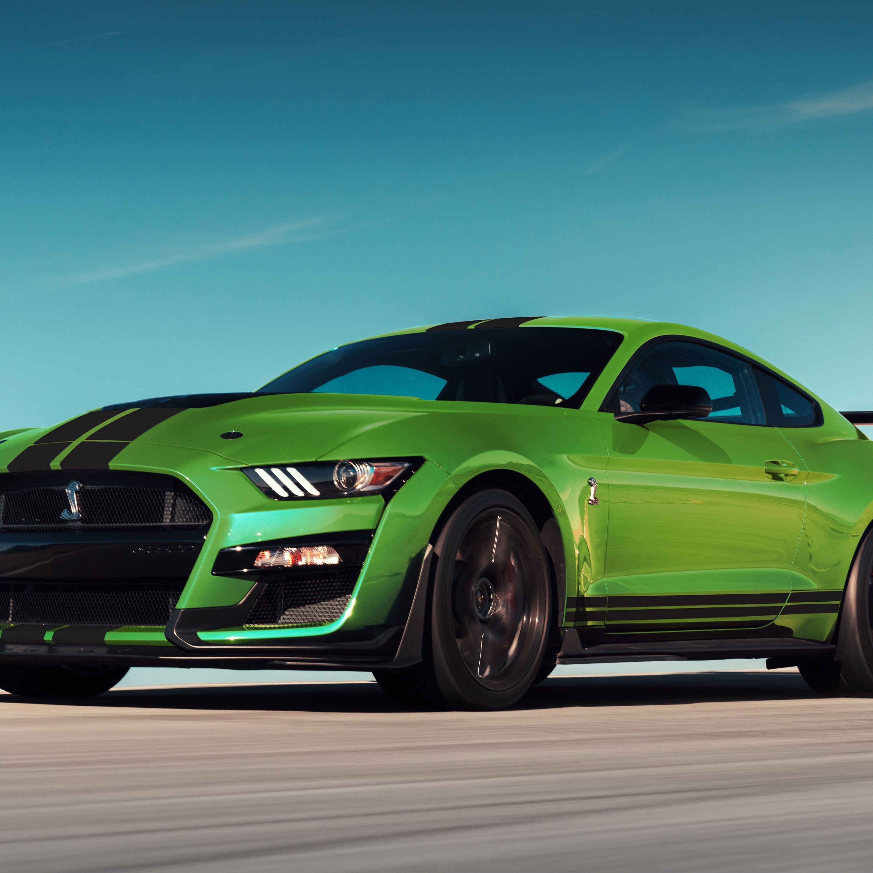 Download wallpaper 2932x2932 green, ford mustang shelby gt ipad pro retina, 2932x2932 HD background, 24402