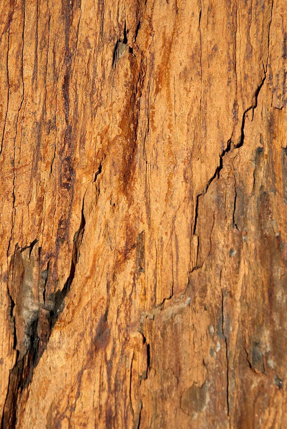 Shale Rock Close Hard Up Photo Background And Picture For Free Download - 