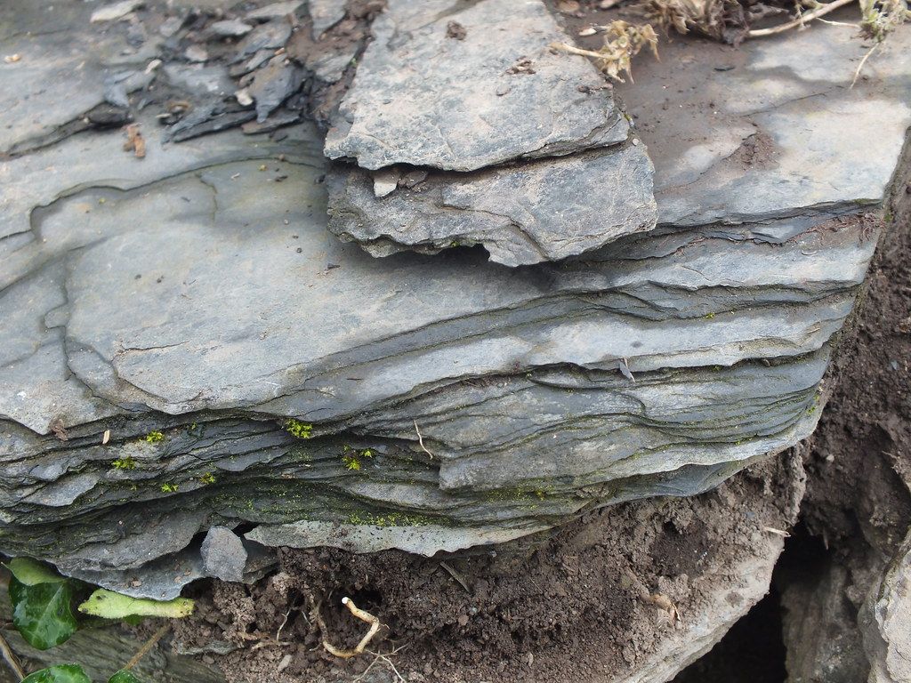 Slate or Shale in garden. sedimentary or metamorphic rock - 